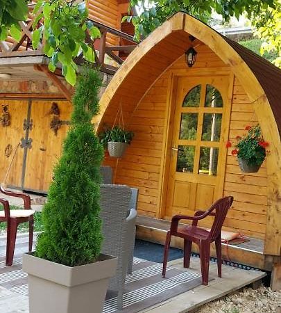 Vila Jelena - Bungalov Crni Vrh Экстерьер фото