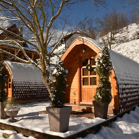 Vila Jelena - Bungalov Crni Vrh Номер фото