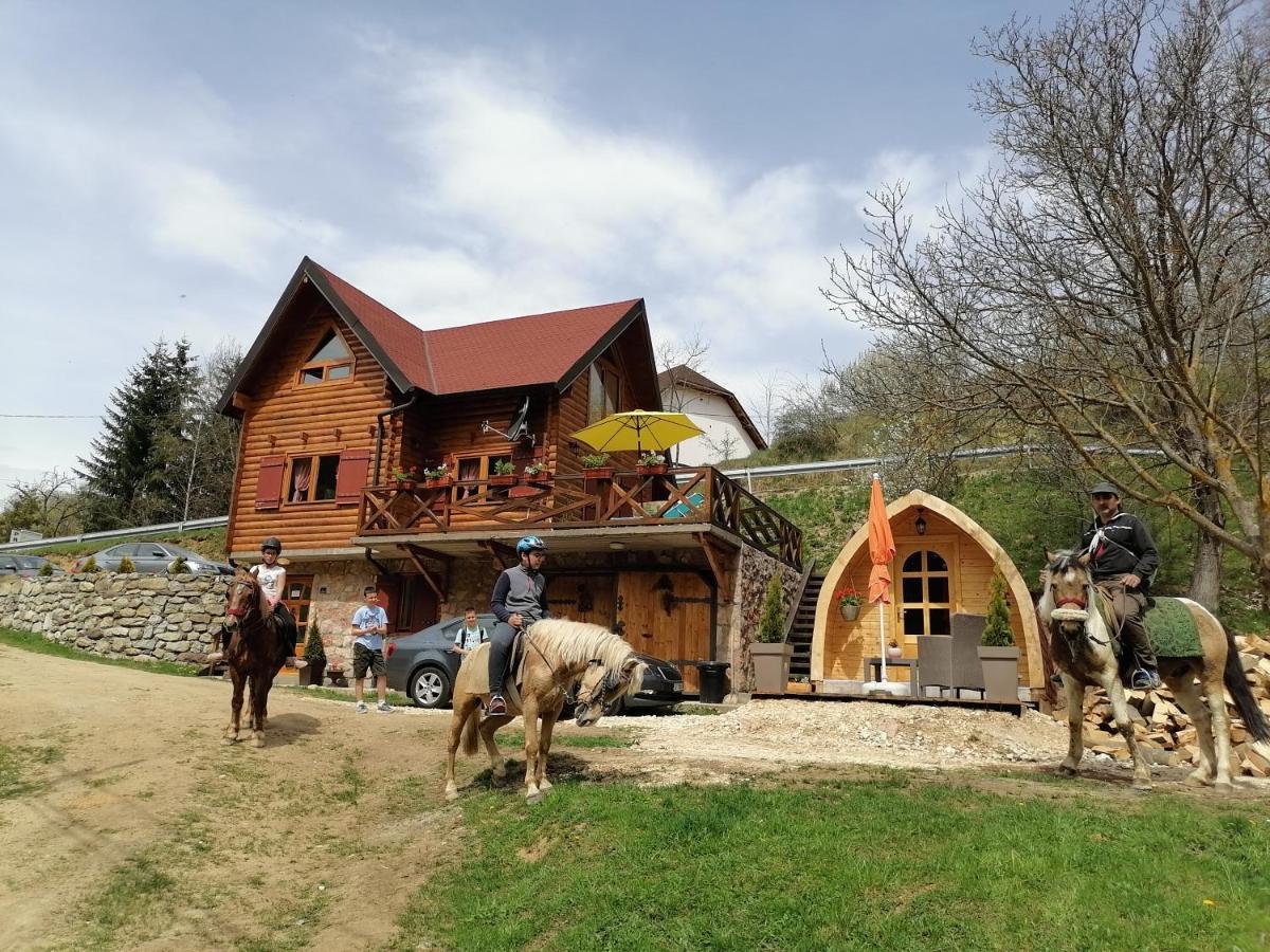 Vila Jelena - Bungalov Crni Vrh Экстерьер фото